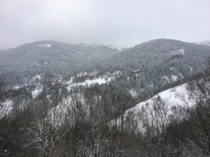 uitzicht